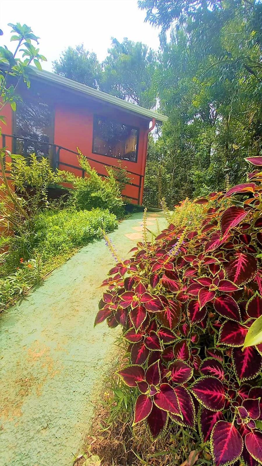 Casa De Montana Tica Linda Villa Monteverde ภายนอก รูปภาพ