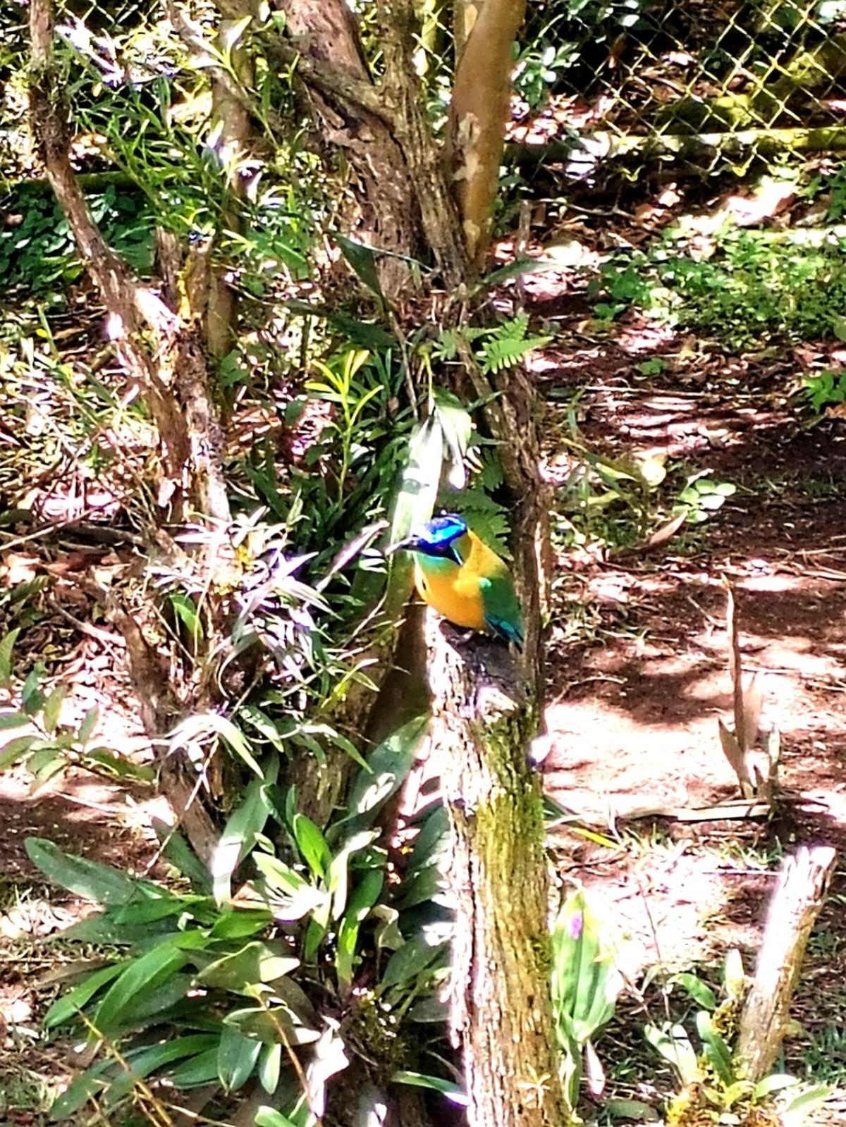 Casa De Montana Tica Linda Villa Monteverde ภายนอก รูปภาพ